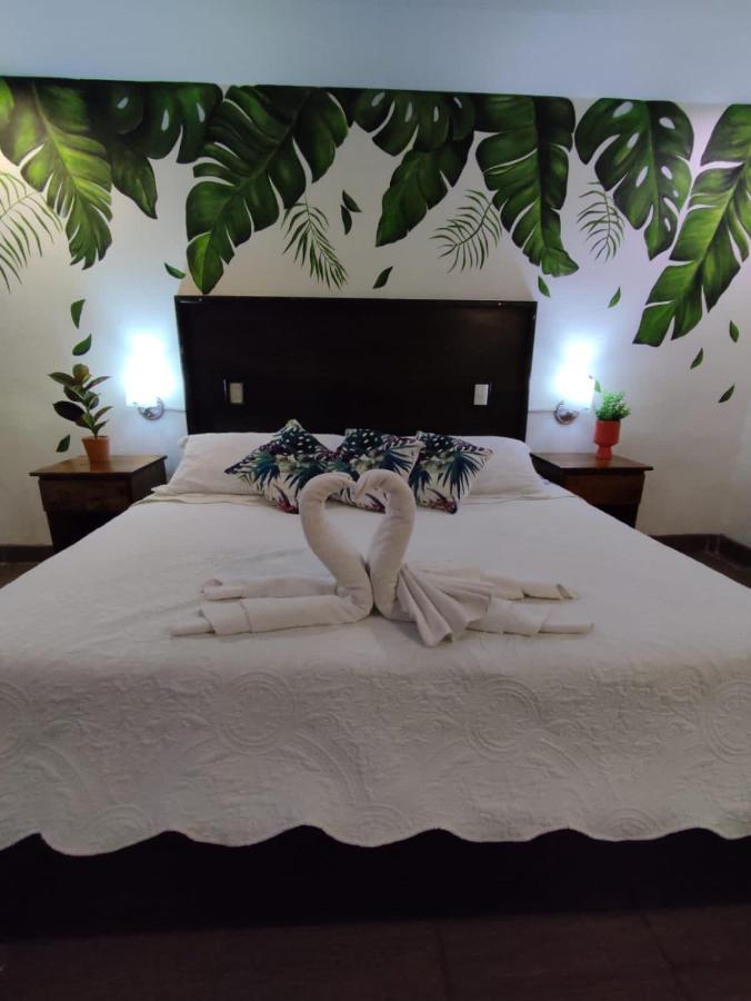 Hotel Cafenaranja Xilitla Dış mekan fotoğraf