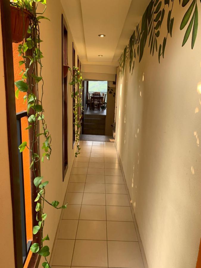 Hotel Cafenaranja Xilitla Dış mekan fotoğraf