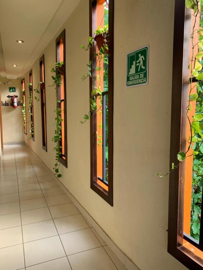 Hotel Cafenaranja Xilitla Dış mekan fotoğraf